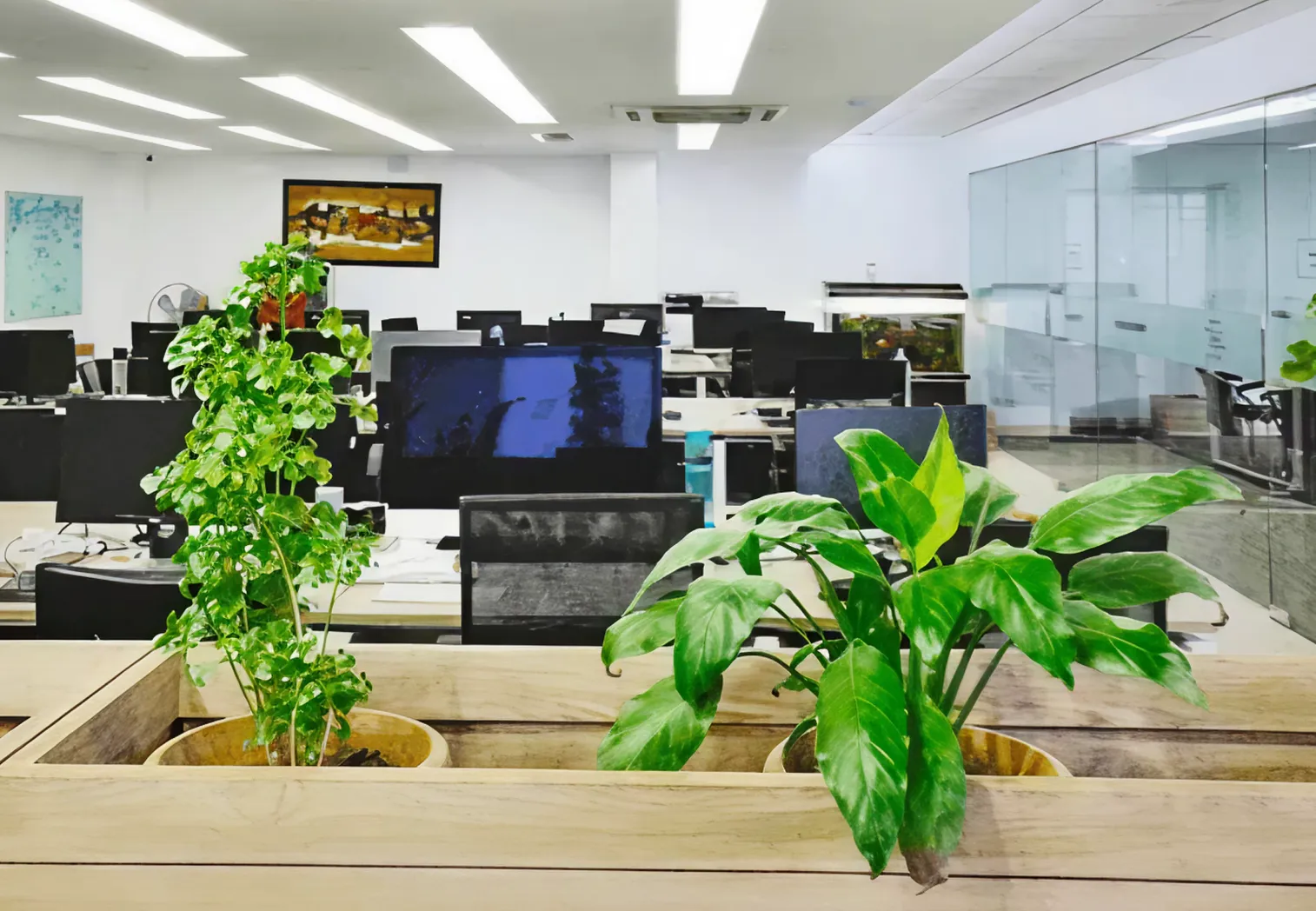 The weDevs office, where the StorePulse team works